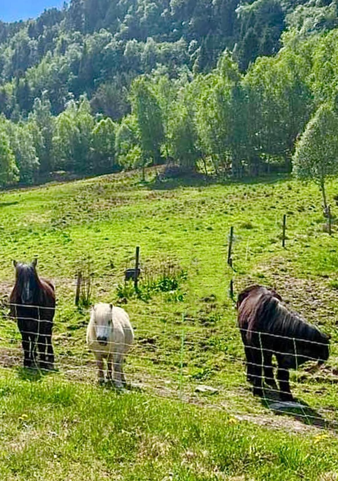 Vika Minihouse Villa Kristiansund Luaran gambar